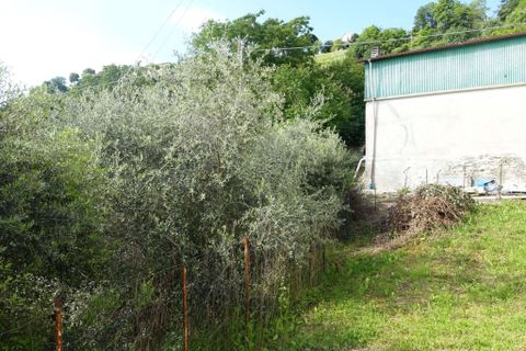 Farm hus i Calosso, Asti, Calosso - € 160.000 | Ref: CP-1742-1174544 - foto 44