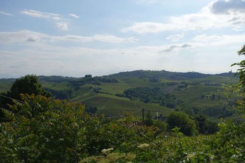 Farm hus i Calosso, Asti, Calosso - € 160.000 | Ref: CP-1742-1174544 - foto 45