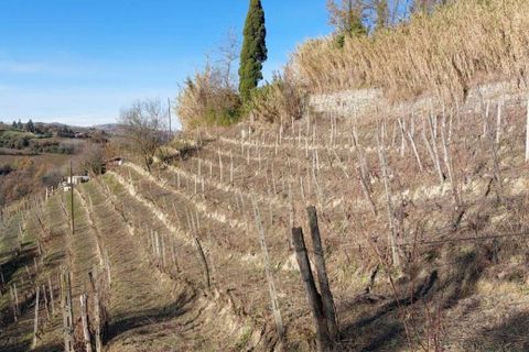 Villa a Canelli, Asti, Canelli - € 155.000 | Ref: CP-1702-1174641 - foto 20