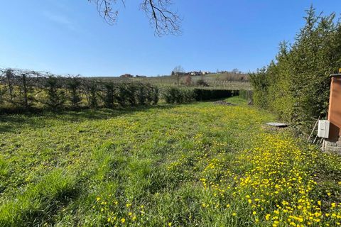 Farm hus i Calosso, Asti, Calosso - € 495.000 | Ref: CR-1739-1174709 - foto 15