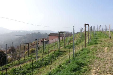 Farm hus i Vinchio, Asti, Vinchio - € 390.000 | Ref: CP-1725-1175081 - foto 7
