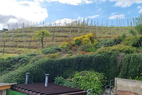 Farm hus i Vinchio, Asti, Vinchio - € 390.000 | Ref: CP-1725-1175081 - foto 8