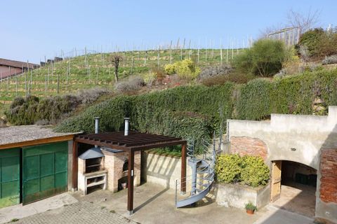 Farm hus i Vinchio, Asti, Vinchio - € 390.000 | Ref: CP-1725-1175081 - foto 27