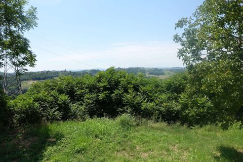 Farm hus i Mombercelli, Asti, Mombercelli - € 150.000 | Ref: CP-1671-1175339 - foto 23