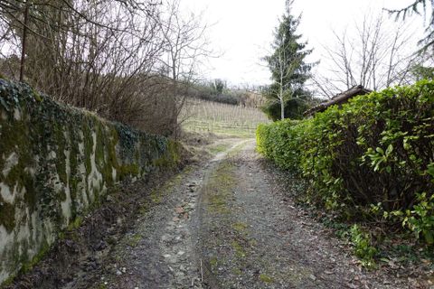 Farm hus i Rocchetta Palafea, Asti, Rocchetta Palafea - € 275.000 | Ref: CP-1719-1175367 - foto 25