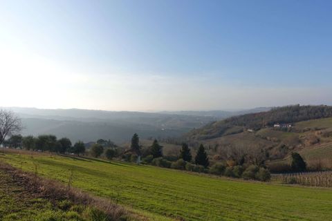 Farm hus i Calosso, Asti, Calosso - € 290.000 | Ref: CP-1715-1175415 - foto 21