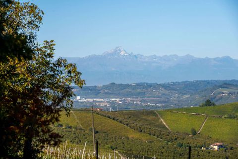 Villa a Barbaresco, Cuneo, Barbaresco - € 790.000 | Ref: CL-1685-1175937 - foto 9