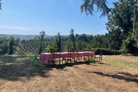 Farm hus i Antignano, Asti, Antignano - € 675.000 | Ref: CP-1643-1175979 - foto 31