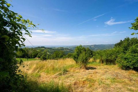 Farm hus i Roddino, Cuneo, Roddino - € 385.000 | Ref: CL-1675-1176271 - foto 5