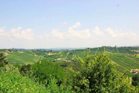 Farm hus i Calosso, Asti, Calosso - € 260.000 | Ref: CP-1293-1176460 - foto 2