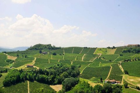 Farm hus i Calosso, Asti, Calosso - € 260.000 | Ref: CP-1293-1176460 - foto 20