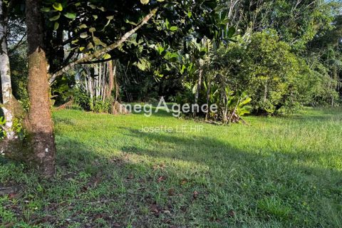 Helårsgrund i Matoury, French Guiana, Matoury - € 120.000 | Ref: 197448 - foto 4