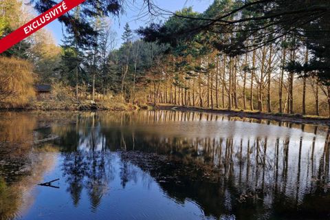 Grond in Pipriac, Ille-et-Vilaine, Pipriac - € 43.000 | Ref: 192482 - foto 1
