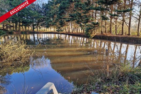 Grond in Pipriac, Ille-et-Vilaine, Pipriac - € 43.000 | Ref: 192482 - foto 2