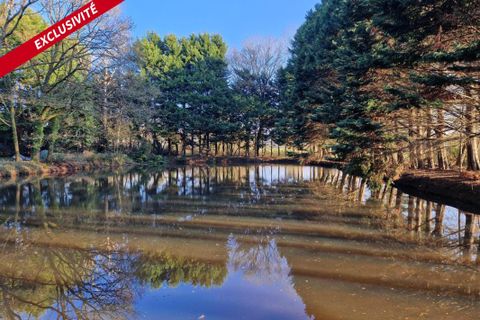 Grond in Pipriac, Ille-et-Vilaine, Pipriac - € 43.000 | Ref: 192482 - foto 5