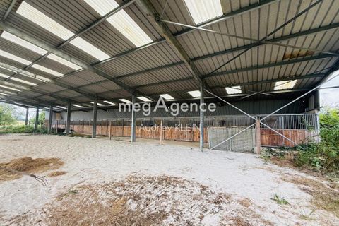 Landejendom i Piffonds, Yonne, Piffonds - € 385.000 | Ref: 202464 - foto 16