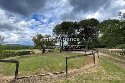 Landejendom i Vidauban, Var, Vidauban - € 795.000 | Ref: 203851 - foto 16
