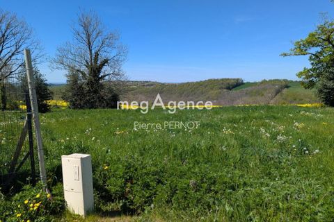 Terra a Paulinet, Tarn, Paulinet - € 29.000 | Ref: 193744 - foto 2