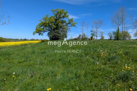 Terra a Paulinet, Tarn, Paulinet - € 29.000 | Ref: 193744 - foto 6