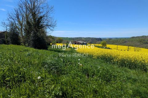 Terra a Paulinet, Tarn, Paulinet - € 29.000 | Ref: 193744 - foto 7