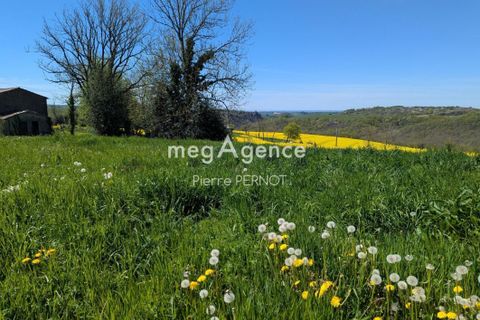 Terra a Paulinet, Tarn, Paulinet - € 29.000 | Ref: 193744 - foto 8