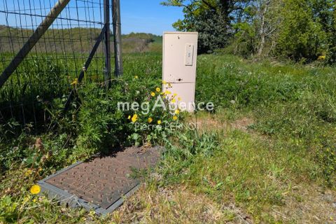 Terra a Paulinet, Tarn, Paulinet - € 29.000 | Ref: 193744 - foto 11