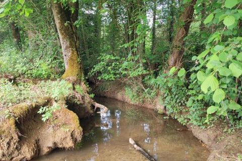 Farm hus i Naves, Correze, Naves - € 51.000 | Ref: 203307 - foto 3
