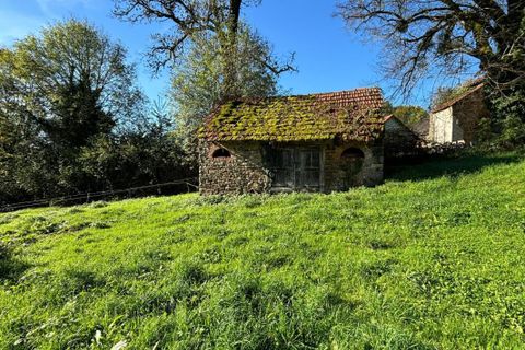 Farm hus i Naves, Correze, Naves - € 51.000 | Ref: 203307 - foto 6