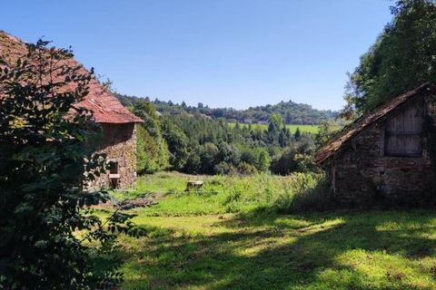 Farm hus i Naves, Correze, Naves - € 51.000 | Ref: 203307 - foto 7