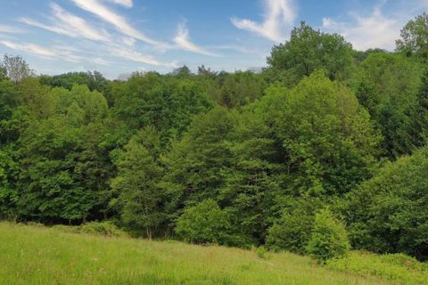 Farm hus i Naves, Correze, Naves - € 51.000 | Ref: 203307 - foto 20