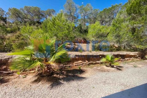 Villa a Cala Vadella, Ibiza, Cala Vadella - € 10.000/mes | Ref: R&amp;amp;I-VILLA_1068 - foto 35