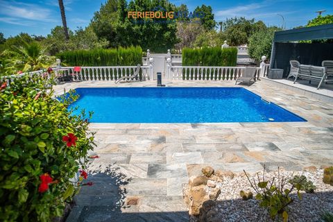 Villa i La Marina, Alicante, La Marina - € 540.000 | Ref: FBU21843 - foto 40