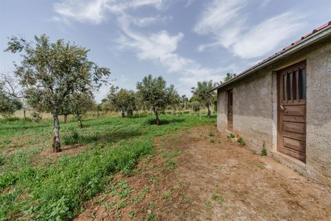 Helårsgrund i Covilha, Castelo Branco, Covilha - € 27.380 | Ref: 111260114 - foto 1