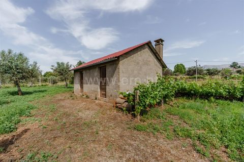 Helårsgrund i Covilha, Castelo Branco, Covilha - € 27.380 | Ref: 111260114 - foto 2