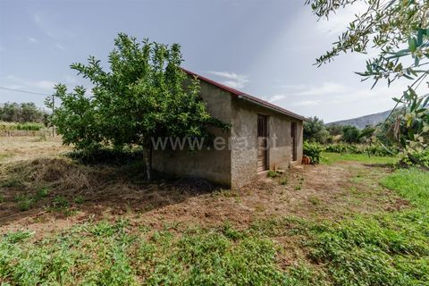 Helårsgrund i Covilha, Castelo Branco, Covilha - € 27.380 | Ref: 111260114 - foto 5
