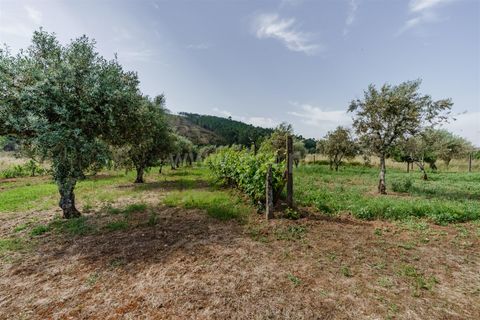 Helårsgrund i Covilha, Castelo Branco, Covilha - € 27.380 | Ref: 111260114 - foto 7