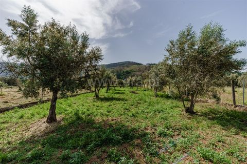 Helårsgrund i Covilha, Castelo Branco, Covilha - € 27.380 | Ref: 111260114 - foto 8