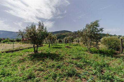 Helårsgrund i Covilha, Castelo Branco, Covilha - € 27.380 | Ref: 111260114 - foto 9