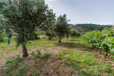 Helårsgrund i Covilha, Castelo Branco, Covilha - € 27.380 | Ref: 111260114 - foto 10