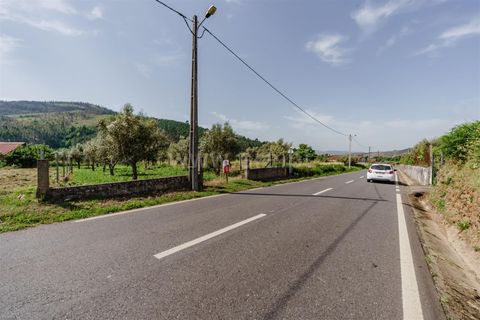 Helårsgrund i Covilha, Castelo Branco, Covilha - € 27.380 | Ref: 111260114 - foto 11