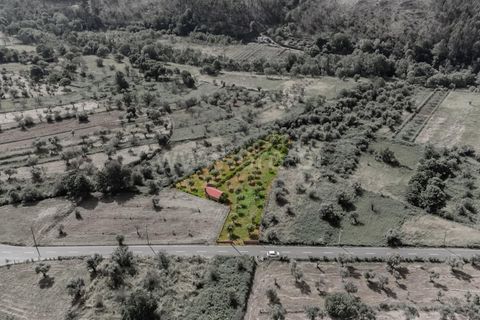 Helårsgrund i Covilha, Castelo Branco, Covilha - € 27.380 | Ref: 111260114 - foto 12