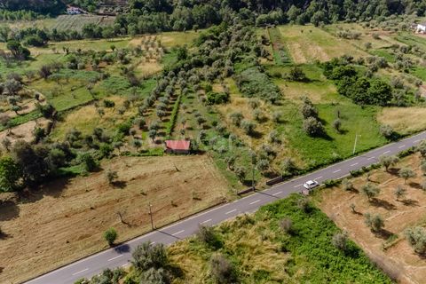 Helårsgrund i Covilha, Castelo Branco, Covilha - € 27.380 | Ref: 111260114 - foto 13