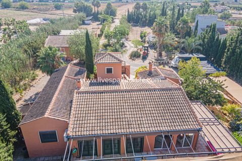 Landejendom i Catral, Alicante, Catral - € 975.000 | Ref: Cat Tamc - foto 5