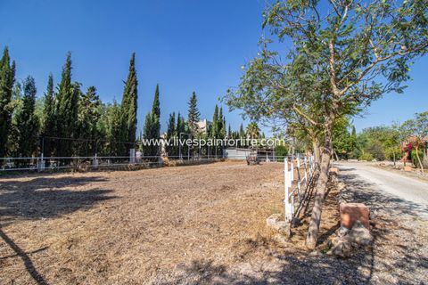 Landejendom i Catral, Alicante, Catral - € 975.000 | Ref: Cat Tamc - foto 8