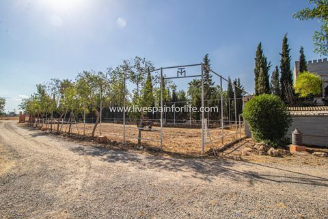 Landejendom i Catral, Alicante, Catral - € 975.000 | Ref: Cat Tamc - foto 9