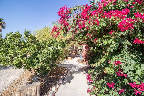Landejendom i Catral, Alicante, Catral - € 975.000 | Ref: Cat Tamc - foto 12