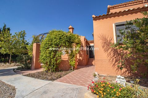 Landejendom i Catral, Alicante, Catral - € 975.000 | Ref: Cat Tamc - foto 24