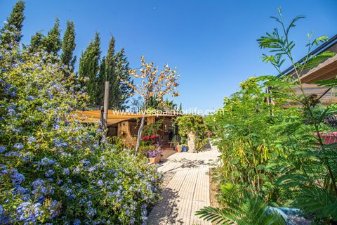 Landejendom i Catral, Alicante, Catral - € 975.000 | Ref: Cat Tamc - foto 28