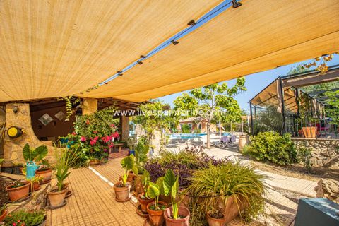 Landejendom i Catral, Alicante, Catral - € 975.000 | Ref: Cat Tamc - foto 29