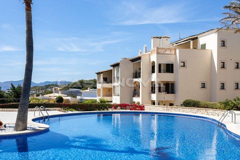Penthouse i Santa Ponsa, Mallorca, Santa Ponsa - € 2.700.000 | Ref: 1303914 - foto 28
